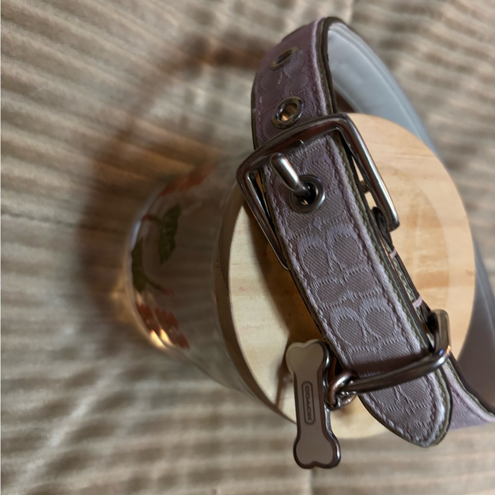 Coach Pink Dog Collar with Silver Buckle